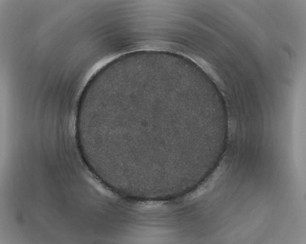 X0000113550846200910161432