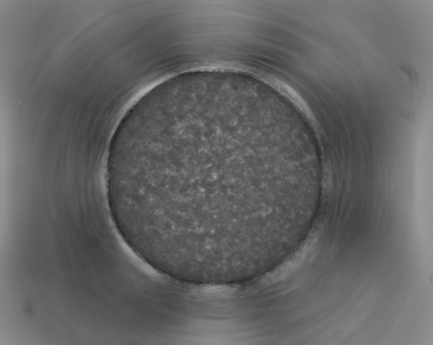 X0000113550847200910161432