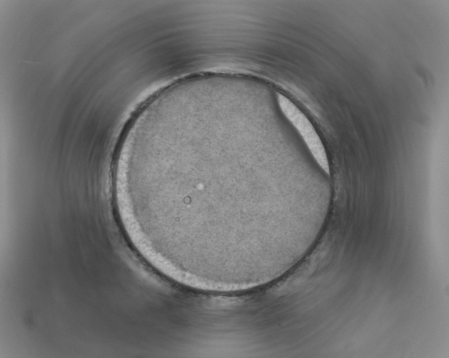 X0000113550848200910161432