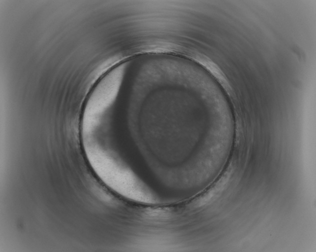 X0000113550850200910161432