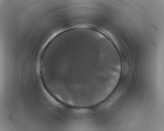 X0000113550851200910161432