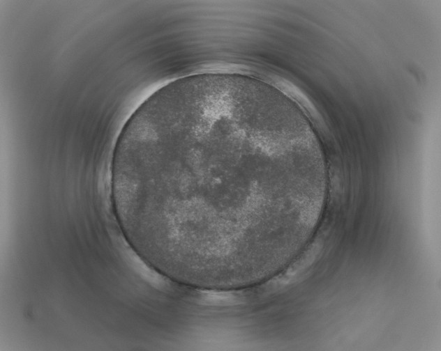 X0000113550852200910161432