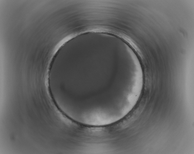 X0000113550853200910161432