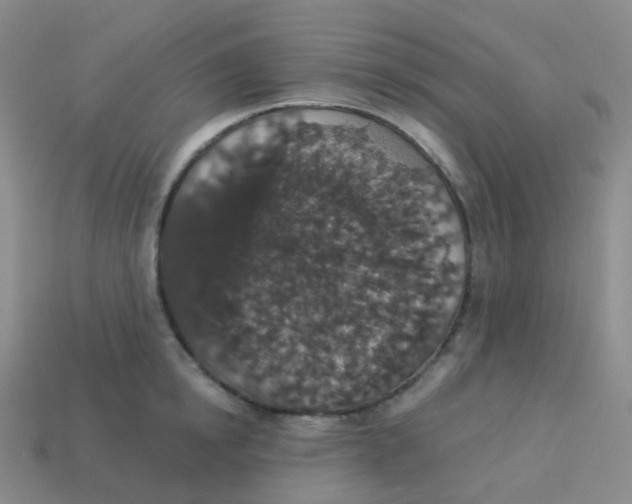 X0000113550854200910161432