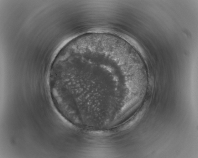 X0000113550855200910161432