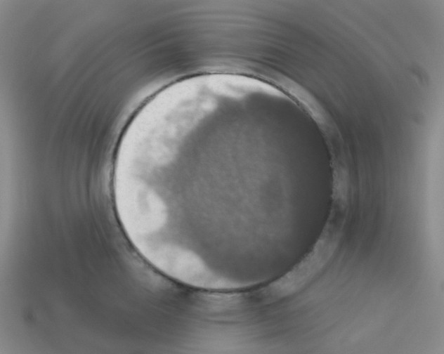 X0000113550856200910161432
