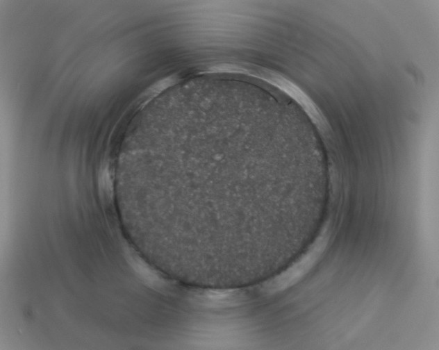 X0000113550857200910161432
