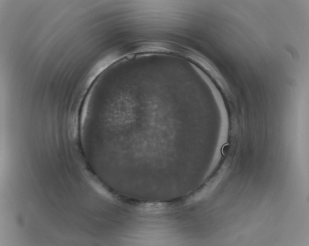 X0000113550858200910161432