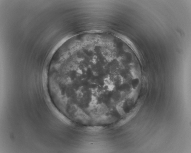 X0000113550859200910161432