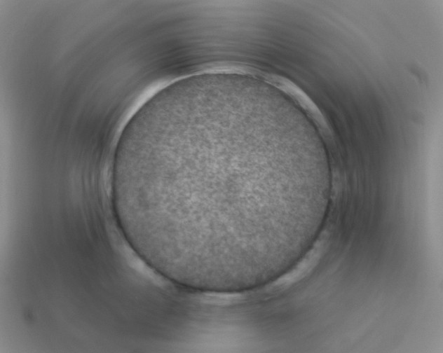 X0000113550860200910161432