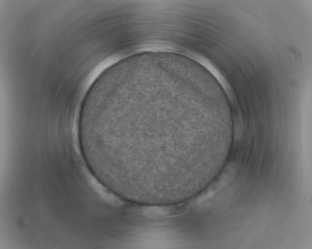 X0000113550861200910161432