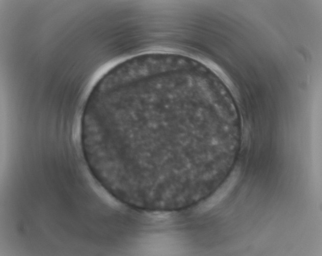 X0000113550862200910161432