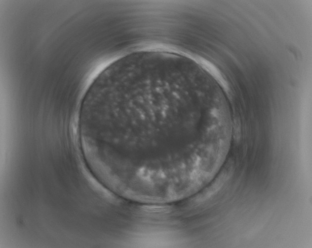 X0000113550863200910161432