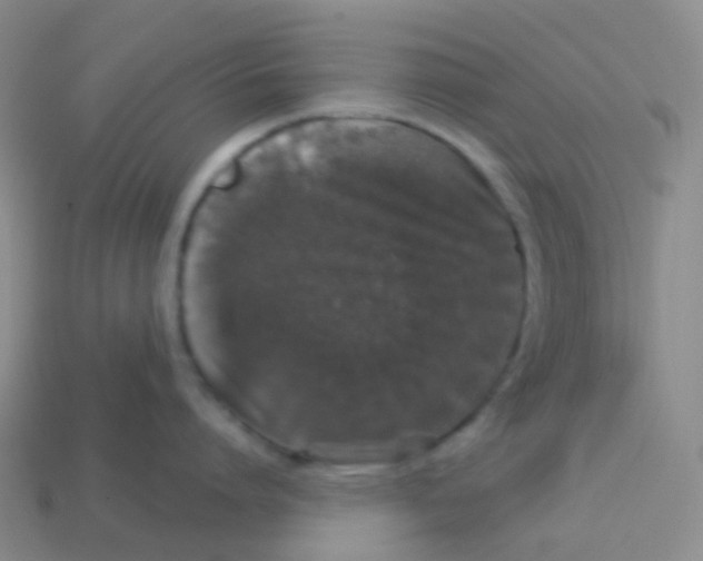 X0000113550864200910161432