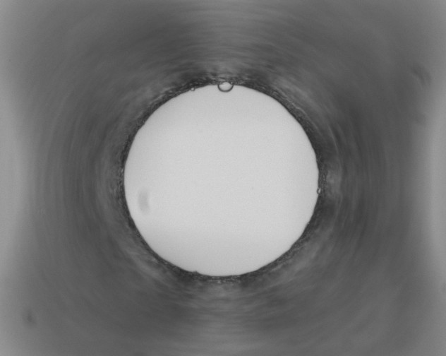 X0000113550865200910161432