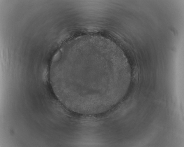 X0000113550866200910161432