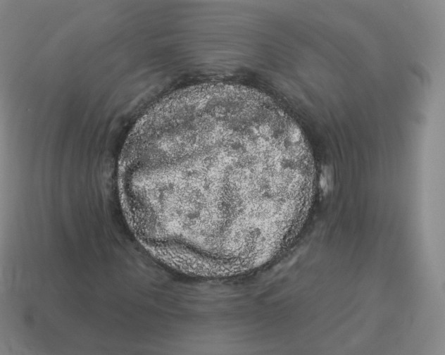 X0000113550867200910161432
