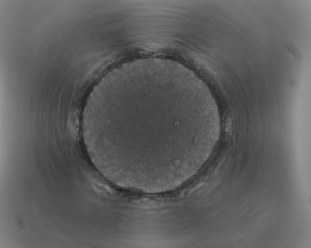 X0000113550868200910161432