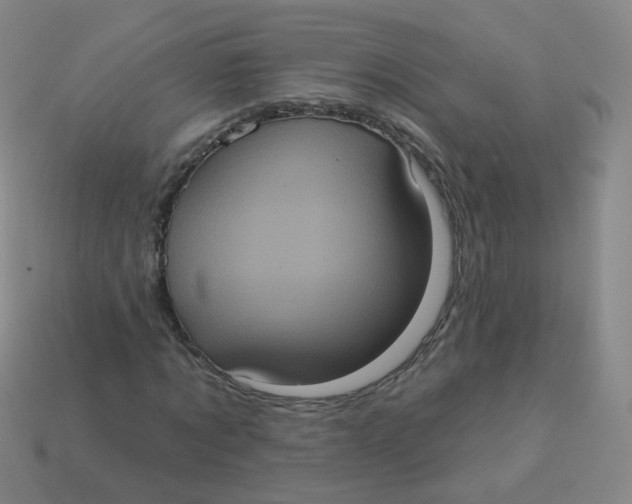X0000113550869200910161432