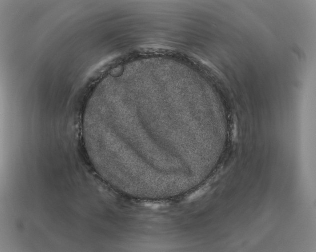 X0000113550870200910161432
