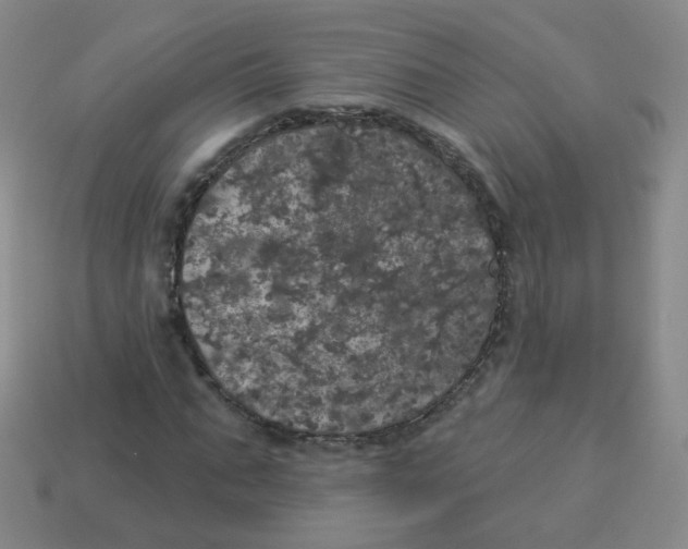 X0000113550871200910161431
