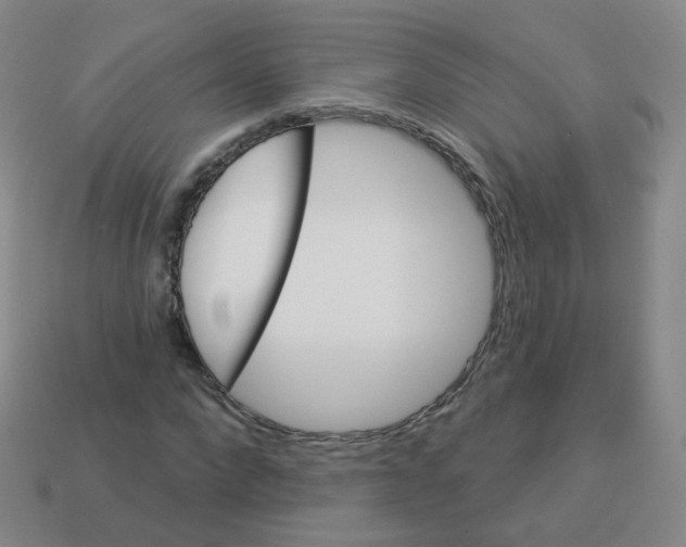 X0000113550872200910161431