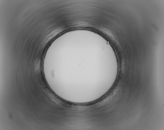X0000113550873200910161431