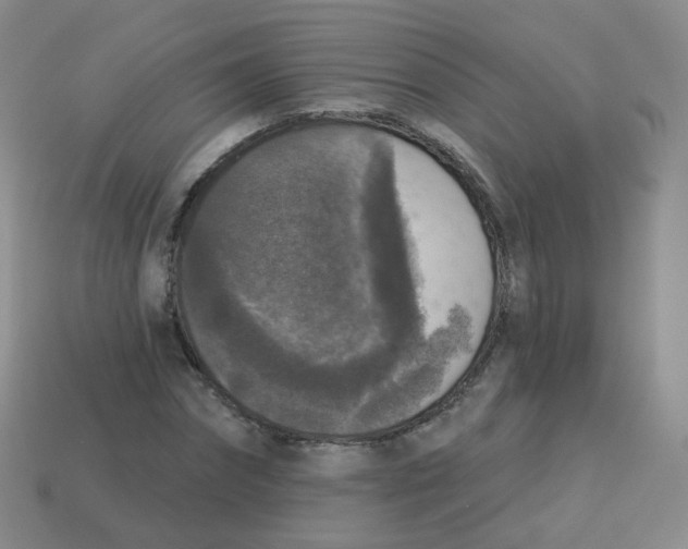 X0000113550874200910161431