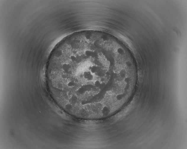 X0000113550875200910161431
