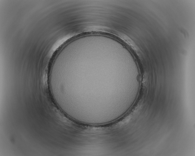 X0000113550877200910161431
