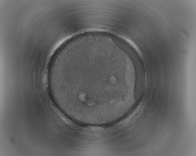 X0000113550878200910161431