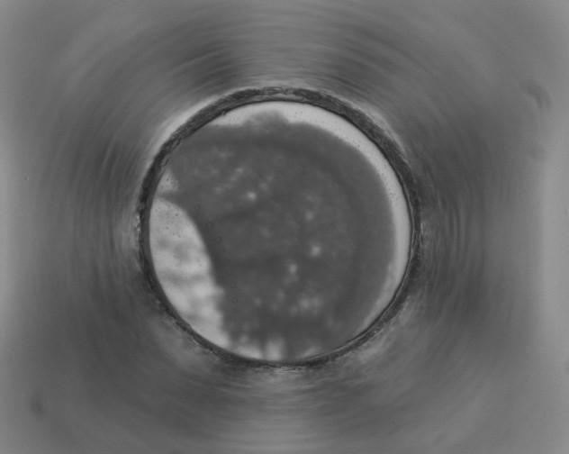 X0000113550879200910161431