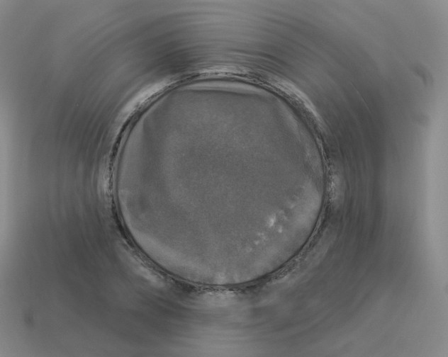 X0000113550882200910161431