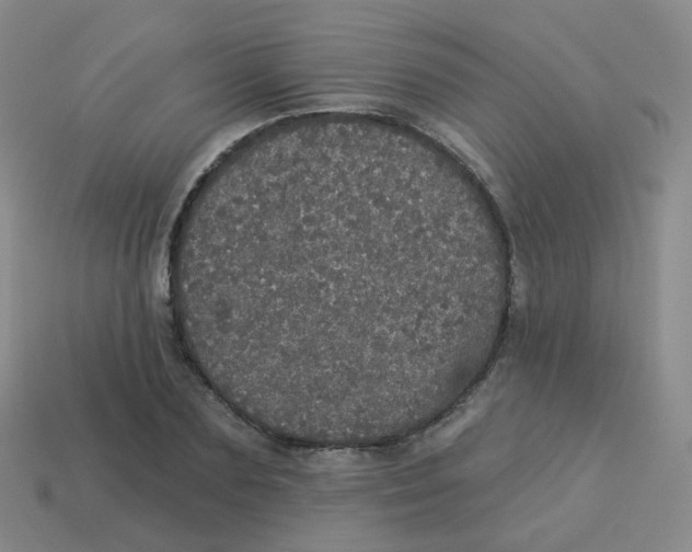 X0000113550883200910161431