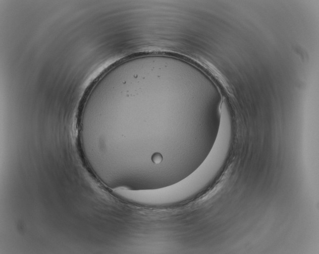 X0000113550885200910161431