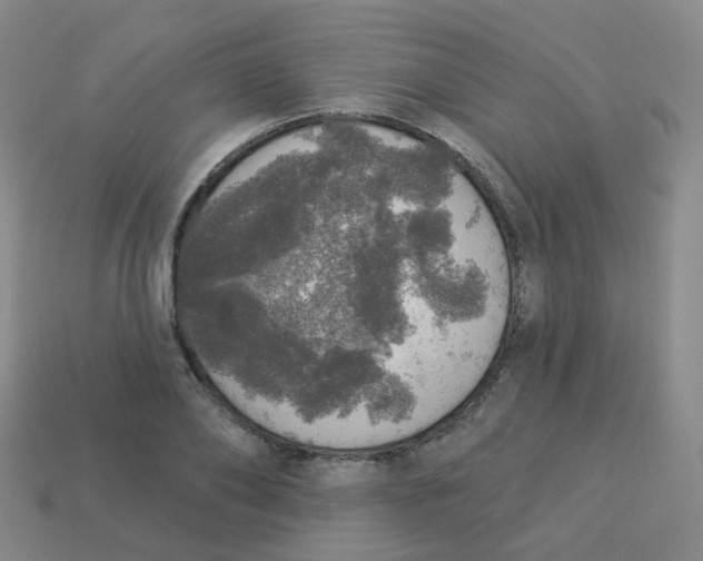 X0000113550886200910161431
