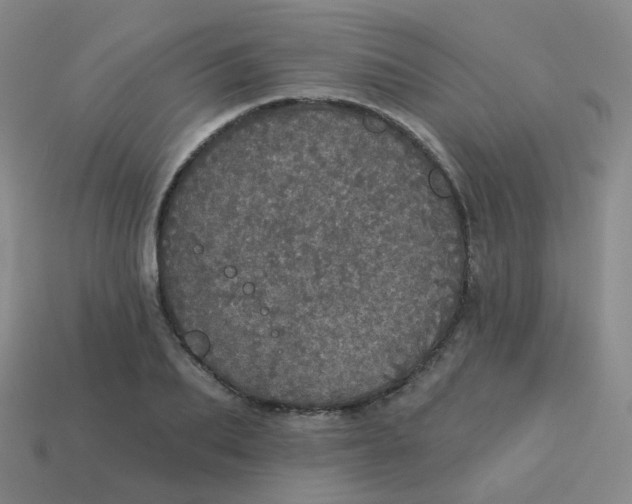 X0000113550887200910161431