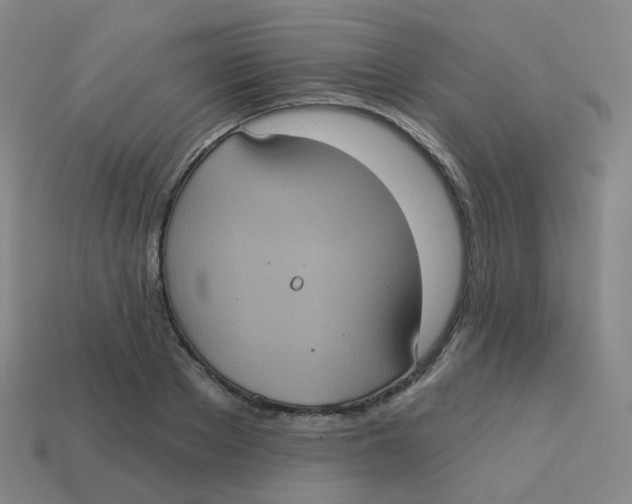 X0000113550889200910161431