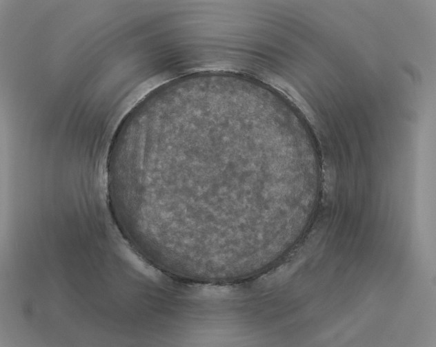 X0000113550890200910161431