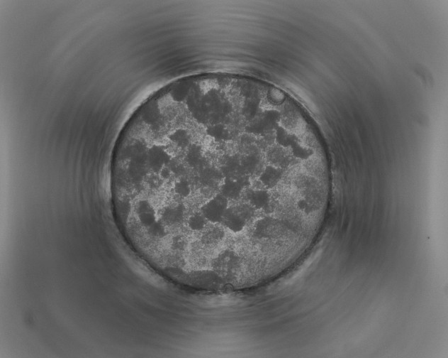 X0000113550891200910161431