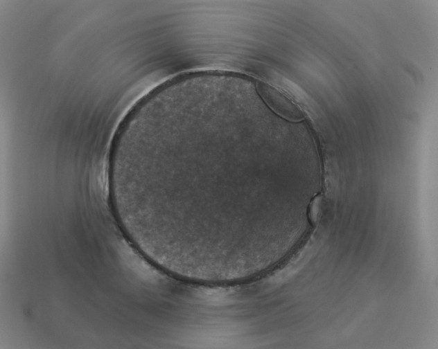 X0000113550892200910161431