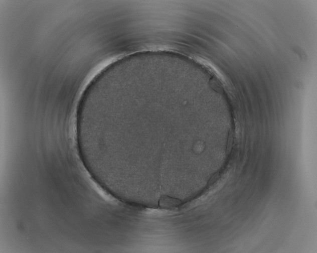 X0000113550894200910161431