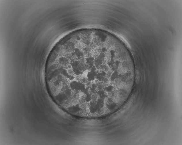 X0000113550895200910161431