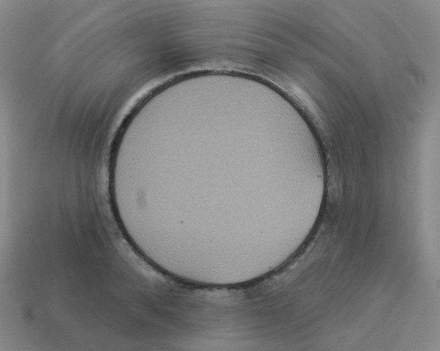 X0000113550896200910161431