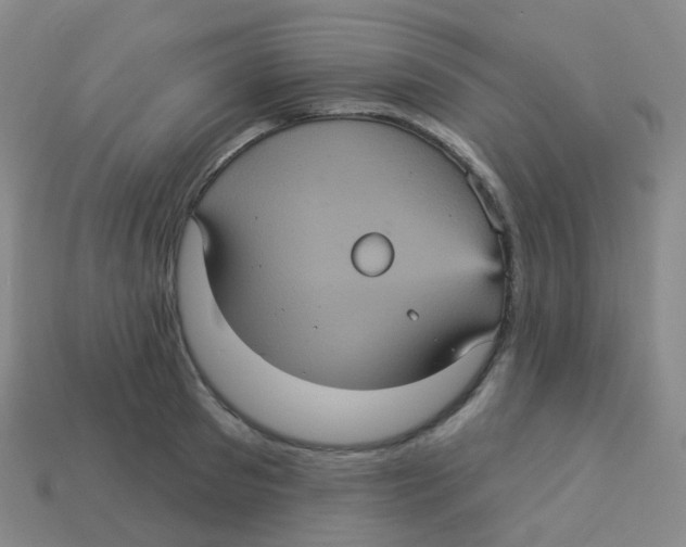 X0000113550897200910161431