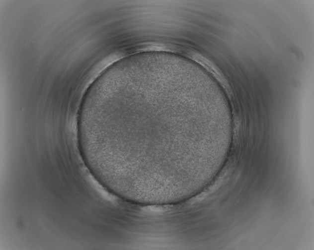 X0000113550898200910161431