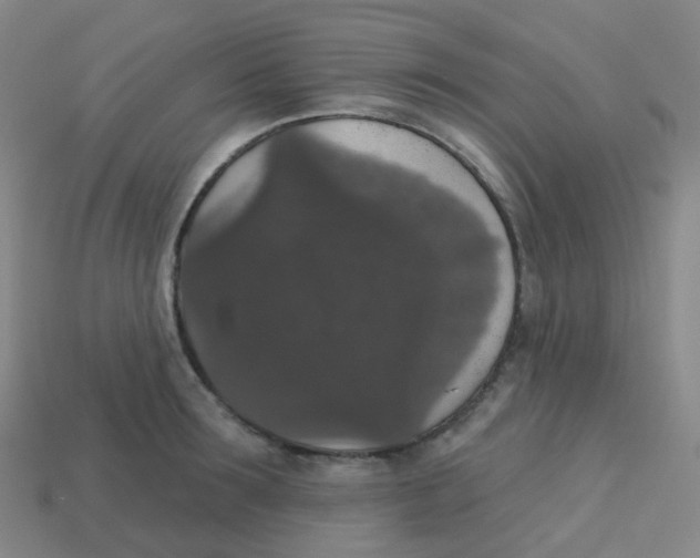 X0000113550899200910161431