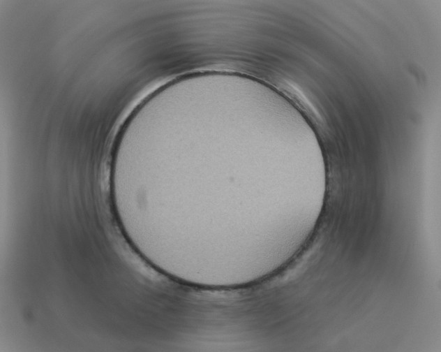 X0000113550900200910161431
