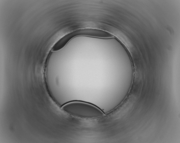 X0000113550901200910161431
