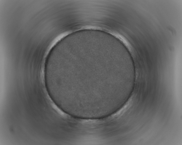 X0000113550902200910161431